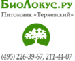 Nursery Teryaevsky impianti Paesaggistica, fontane, stagni 7 (495) 226-39-67, 211-44-07 143615, Russia, regione di Mosca., Volokolamsk distretto, p. Teryaevo Street. Teryaevskaya, il 92 www.biolokus.ru