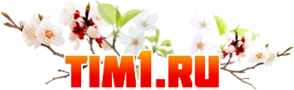    1  , ,  7(985) 9280434, 1080434 129301, , .,  , .184, .1,  "  " www.tim1.ru